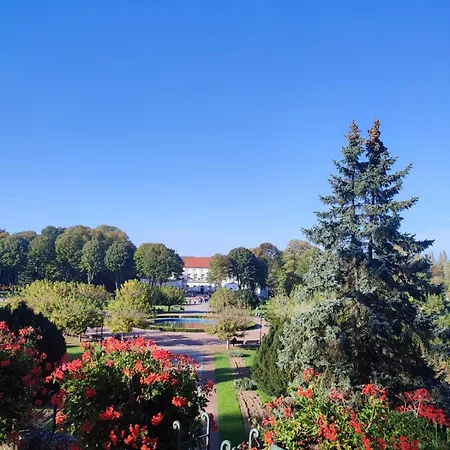 Διαμέρισμα Ladydi