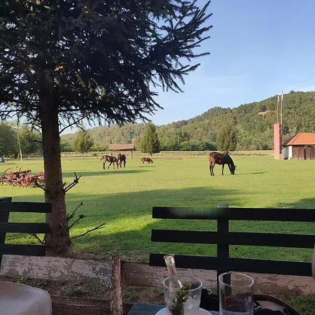Διαμέρισμα Ladydi Banja Koviljača