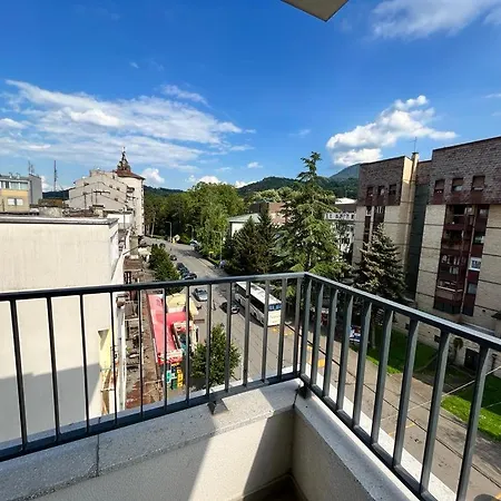 Ladydi Banja Koviljača