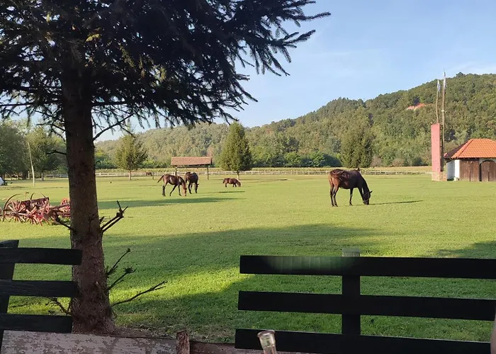Lägenhet Ladydi Banja Koviljača