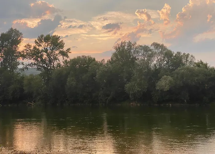 Ladydi * Banja Koviljača